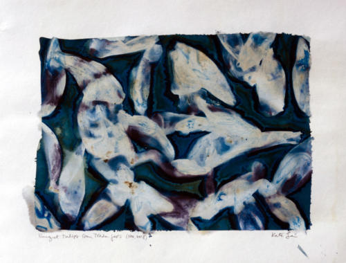 bouquet: tulips from trader joe's (nov. 2018)