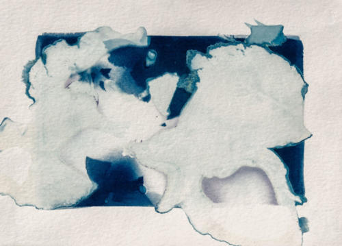 eaton canyon: soaking leaves