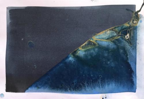 from ongoing salton sea series