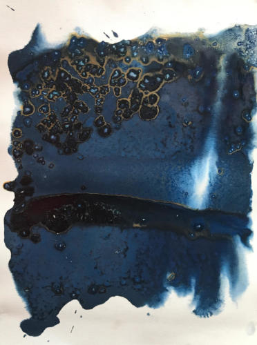 from ongoing salton sea series