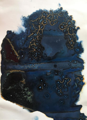 from ongoing salton sea series